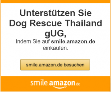 Home - Dog Rescue Thailand