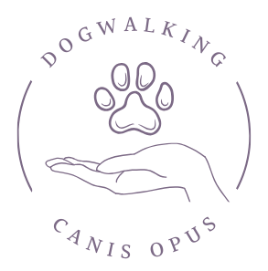 Canis Opus – Hundeschule und Dogwalking