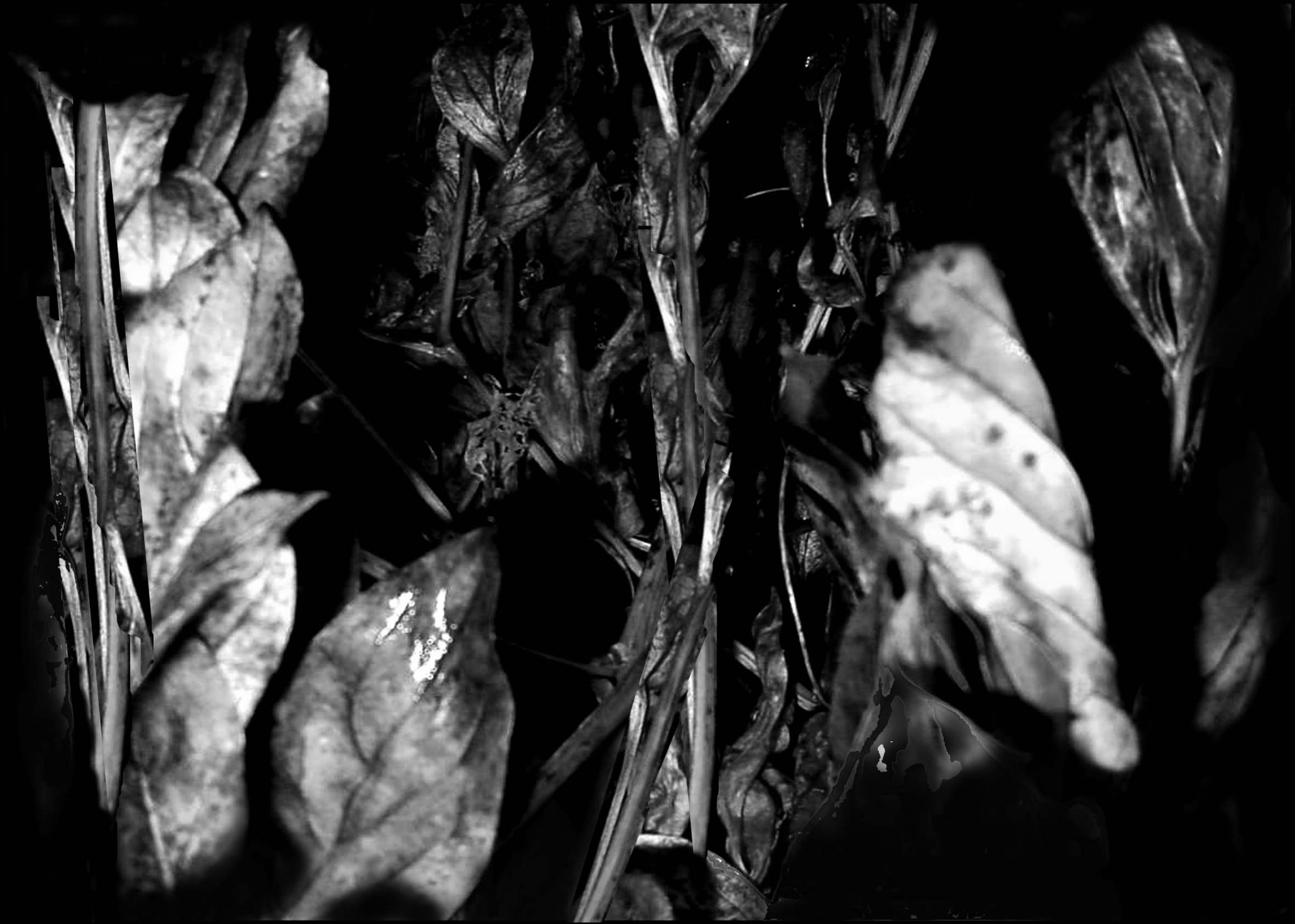 Mats Nielsen Dômen Konstskola