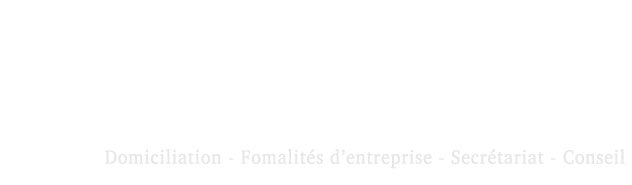 logo-epinay-consultant-BLANC
