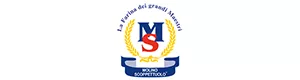 Logo MS