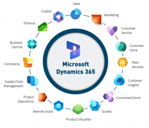 dynamics 365 overblik