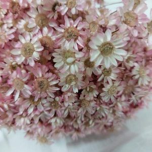 glixia,roze,droogbloemen,doopsuiker