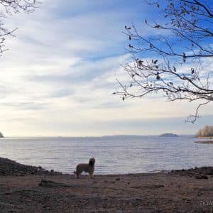 Uitzicht over Bolmen