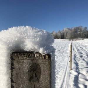 snow_on_fence