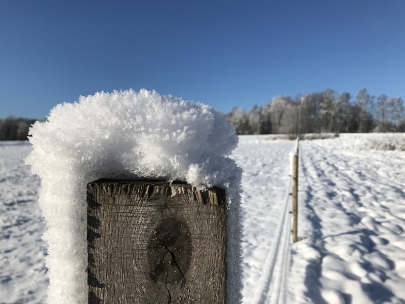snow_on_fence