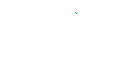 Dragon Group LTD