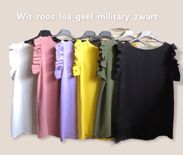 Blouses Frul Verschillende Kleurtjes