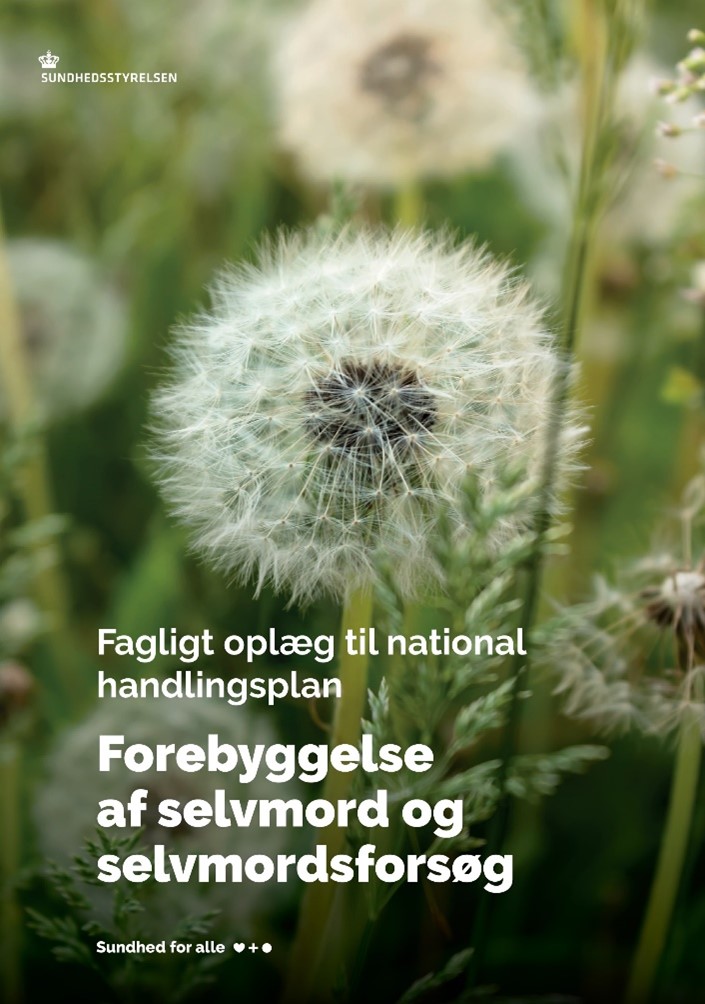 Denmark has a national plan for suicide prevention