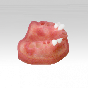 DRSK Modular Jaw Model