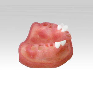 DRSK Modular Jaw Model