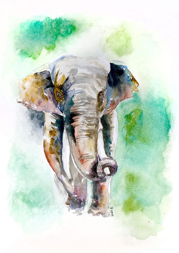 African Elephant Watercolour Painting