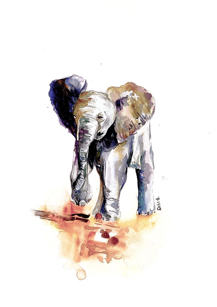 Watercolour painting of a baby elephant