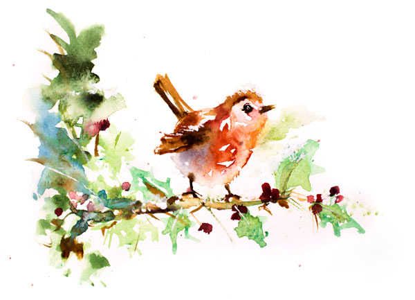 Robin watercolour painting