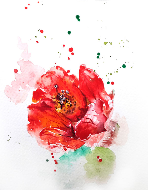 Watercolour painting of a red poppy