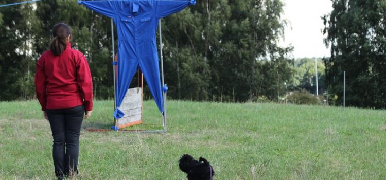 Mentalbeskrivelsen søndag d. 5. maj