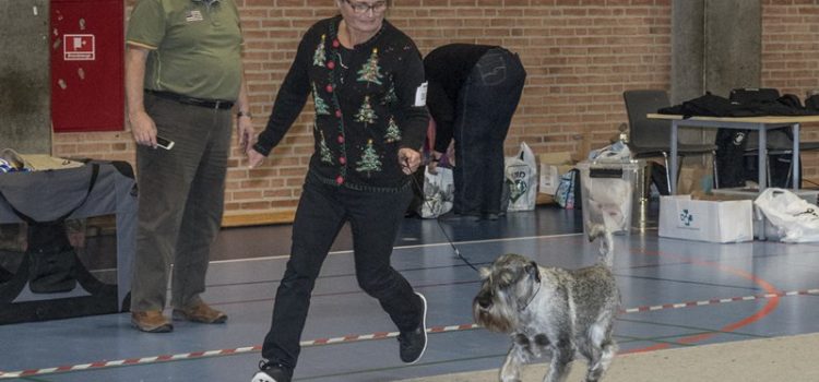 Tilmeldingsfrist Rishøj 2019