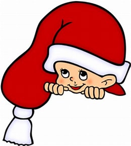 PM og vigtig information vedrørende klubudstillingen i Køge den 22. november 2025