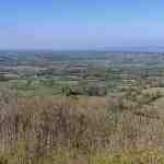 View From stinchcombe