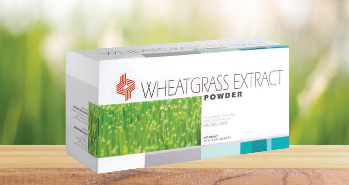 Wheat Grass Extract Powder