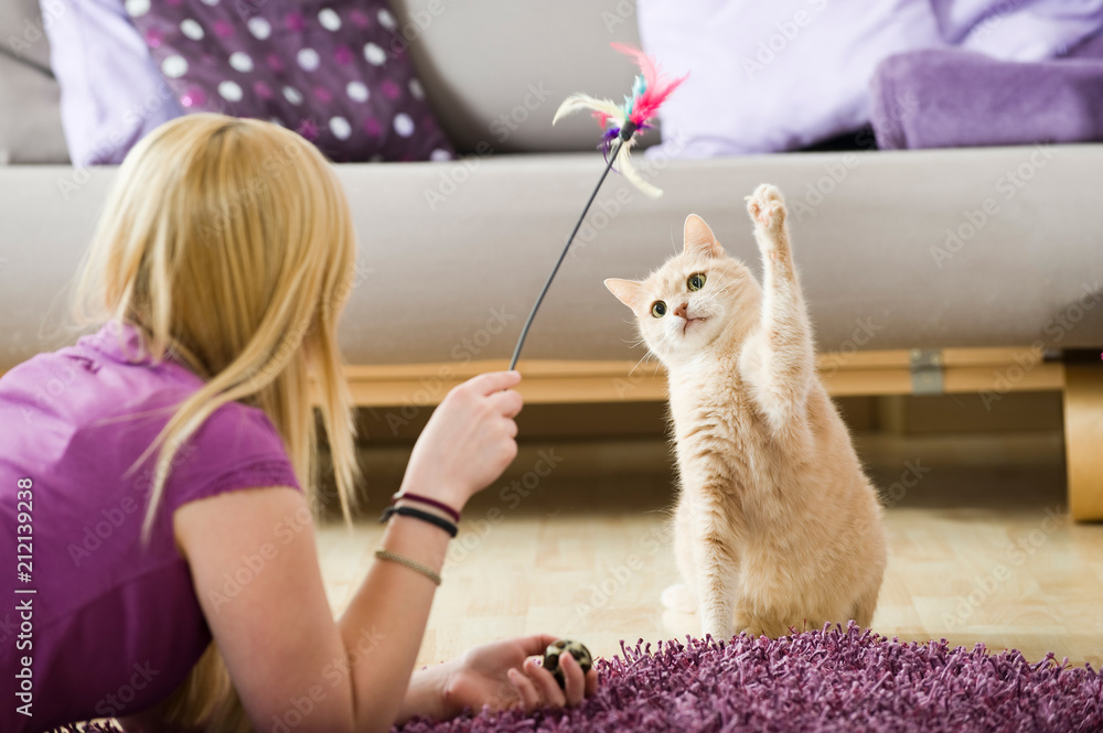 Junge Frau spielt mit Katze