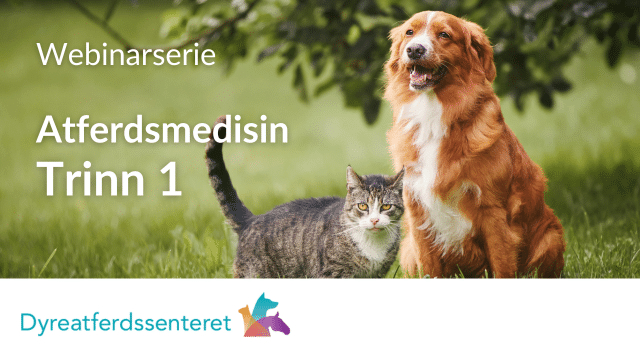 Atferdsmedisinkurs Trinn 1 med Gry Eskeland