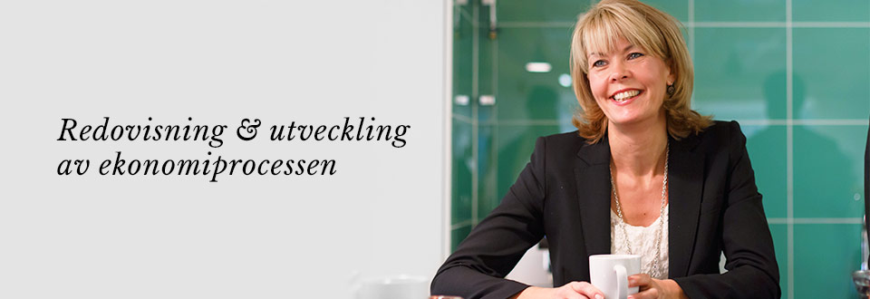 Redovisning och utveckling av ekonomiprocessen