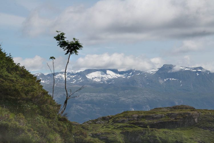 Lutefjell