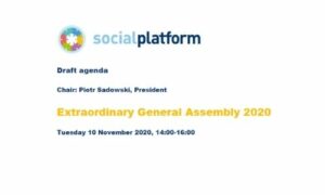 Read more about the article General Assembly at Social Platform