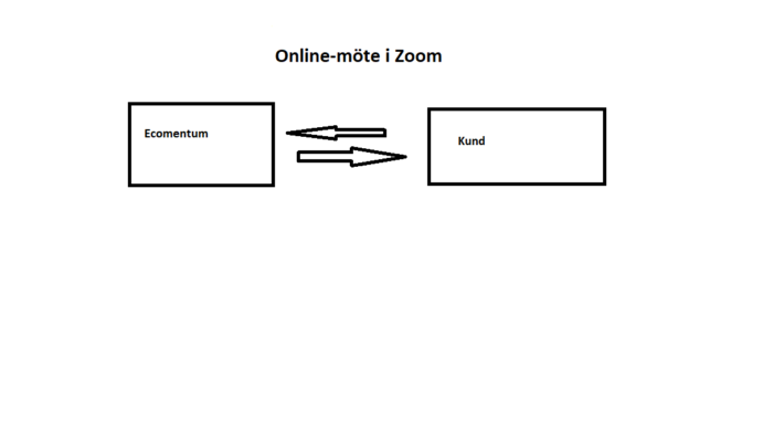 Online möte i Zoom