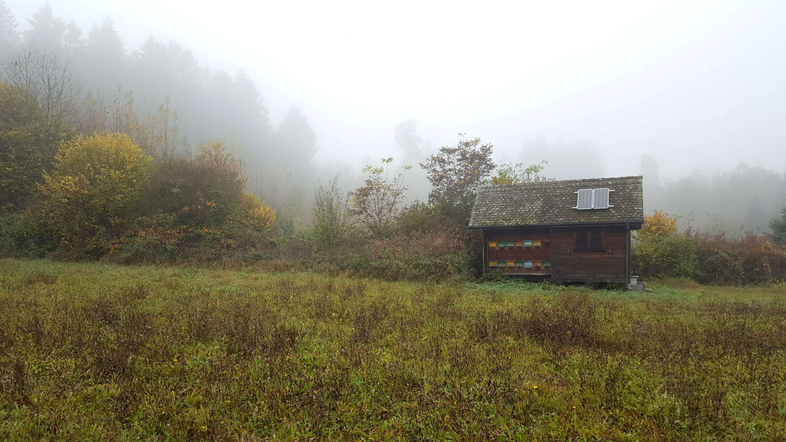 Förstudie solceller