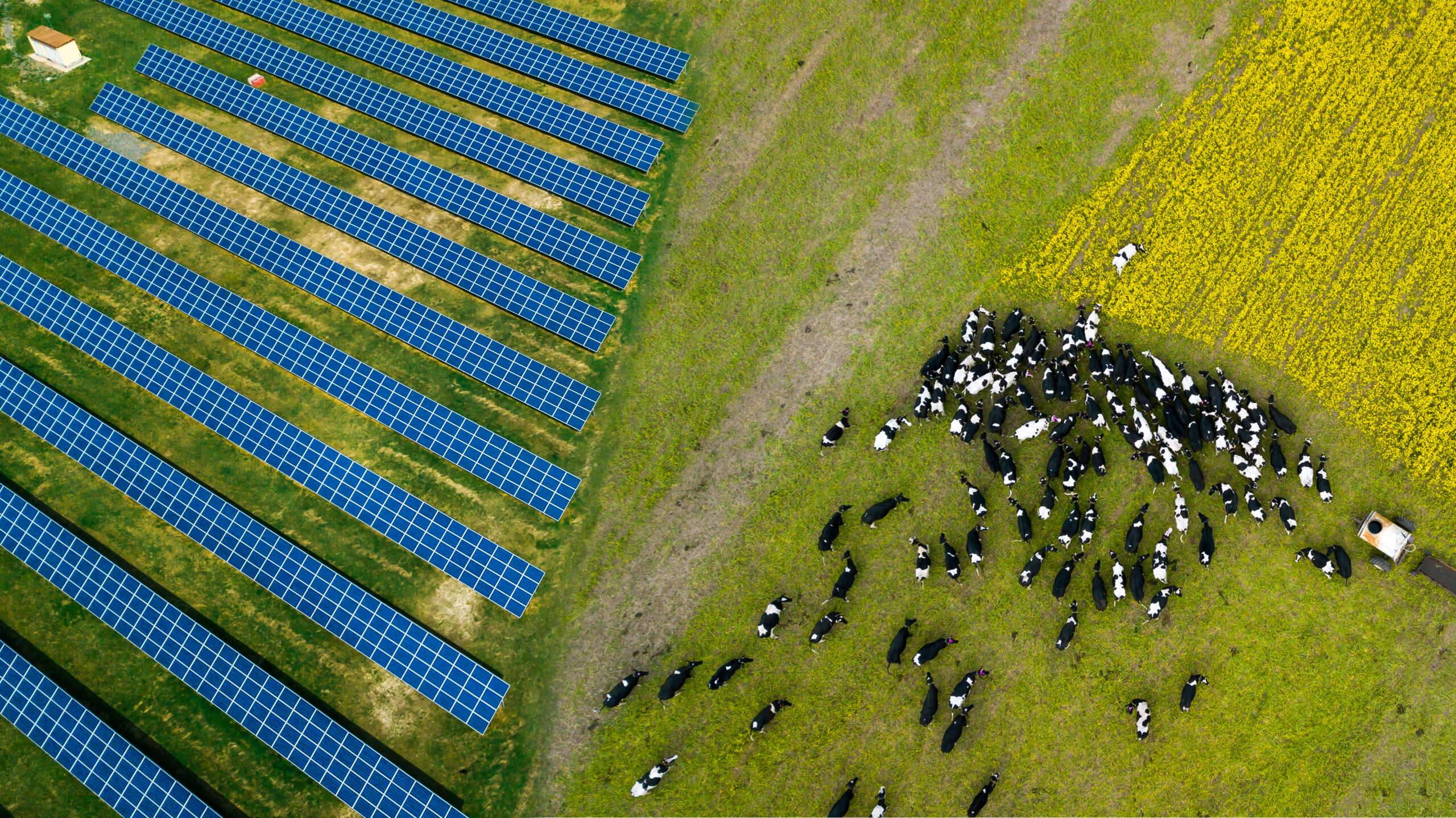 Solceller för lantbruk och jordbruk. Ecotech solenergi hjälper er genom hela processen.