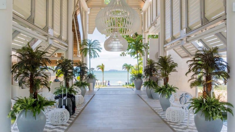 Modern, white entrance of a hotel with plants