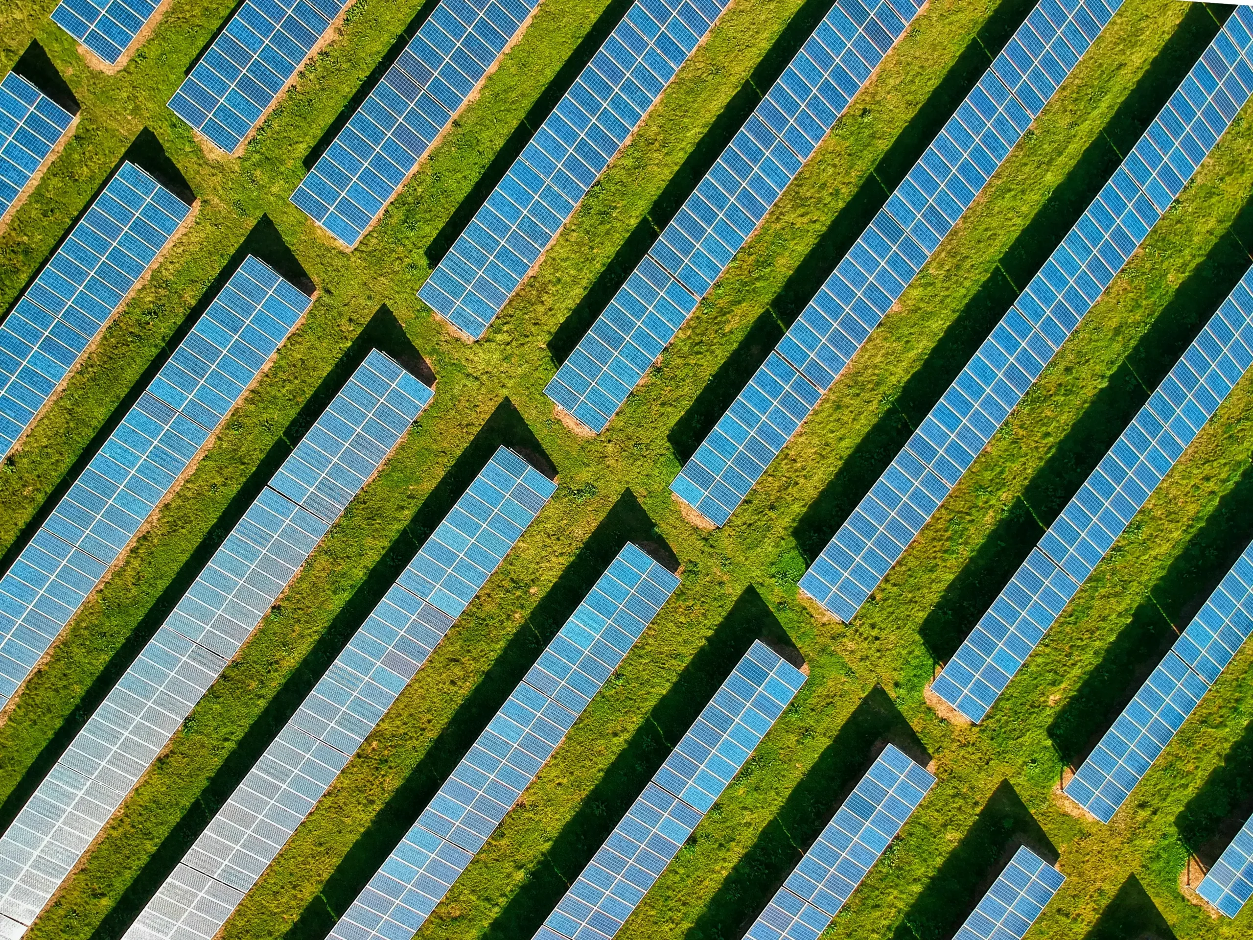 Renewable Energy