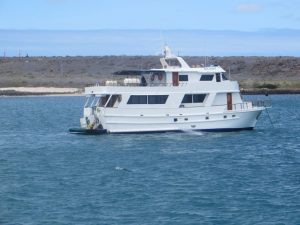 Darwin jacht Galapagos cruises