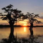 Zonsondergang in Laguna Grande Cuyabeno