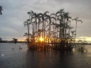 Zonsondergang in Cuyabeno Amazone Reservaat Ecuador