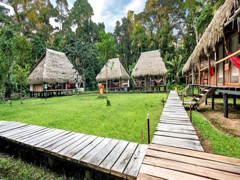 Amazone Lodges Ecuador - Ecuador Rondreizen Ecuador jungle lodge