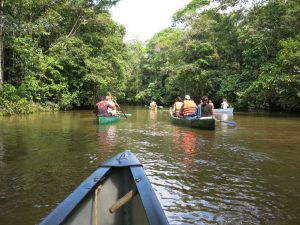 Kanotocht roeien in Amazone regenwoud Cuyabeno