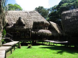 Jamu Amazone Lodge in Ecuador