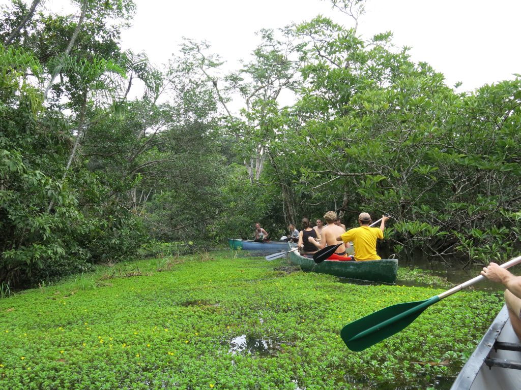 Roeien in het Amazone Regenwoud van Ecuador