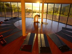 Yoga in Sacha Ji Wellness lodge Ecuador