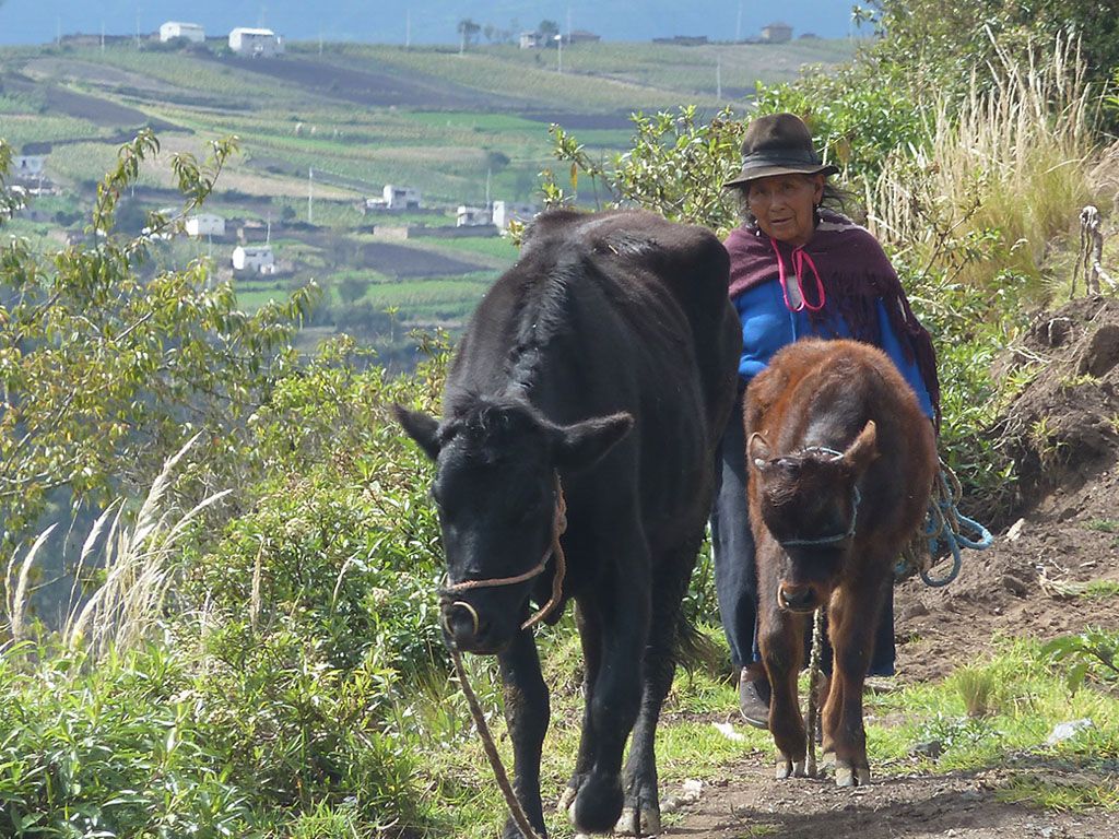 Ancestor trektocht Ecuador