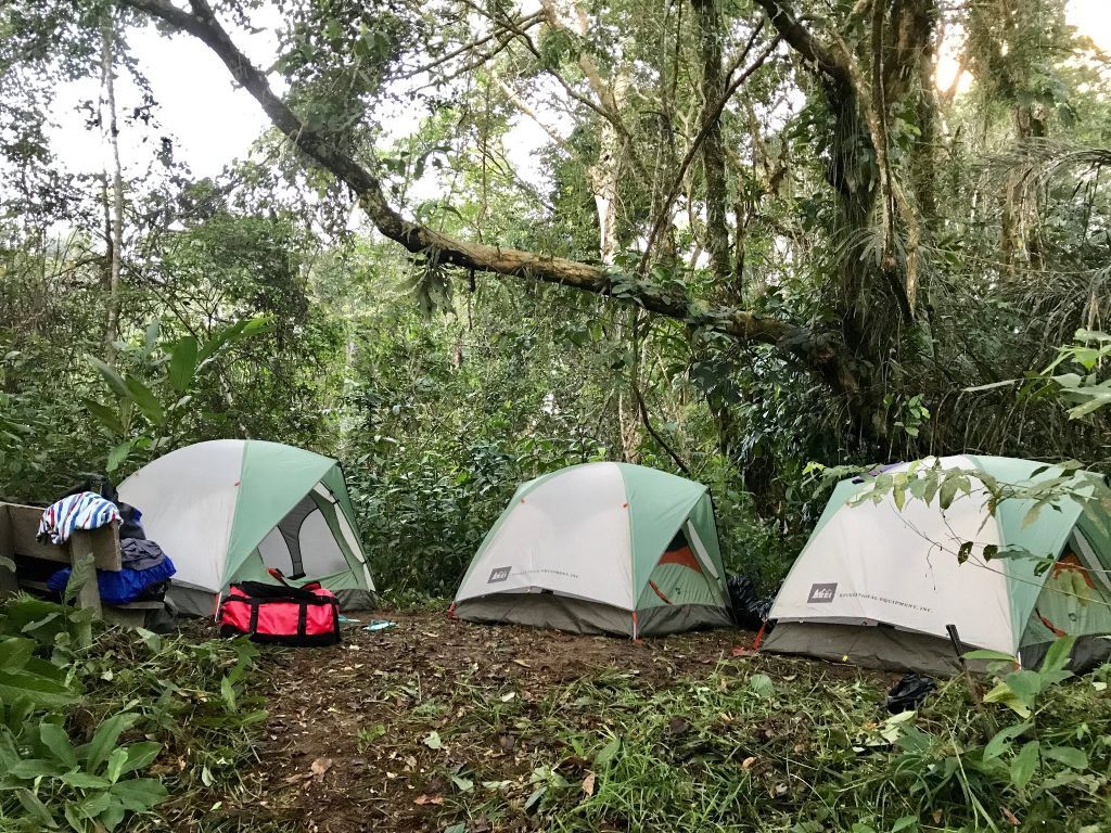 Avontuurlijke Amazone kano tour in Cuyabeno Ecuador