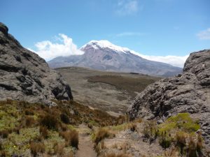 Polylepis wandeling Ecuador