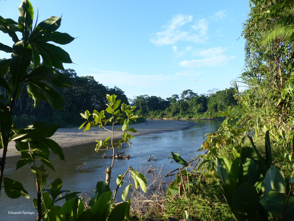 Huaorani Amazone kajak tour Ecuador