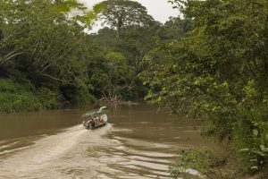 Motor kano tour Amazone Yasuni