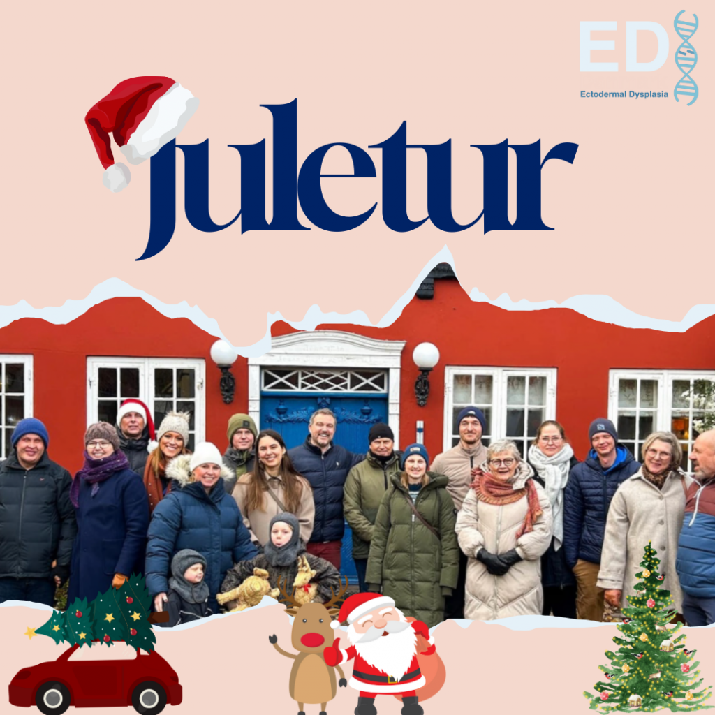 Billede for at reklamere med Ectodermal dysplasi Danmarks juletur