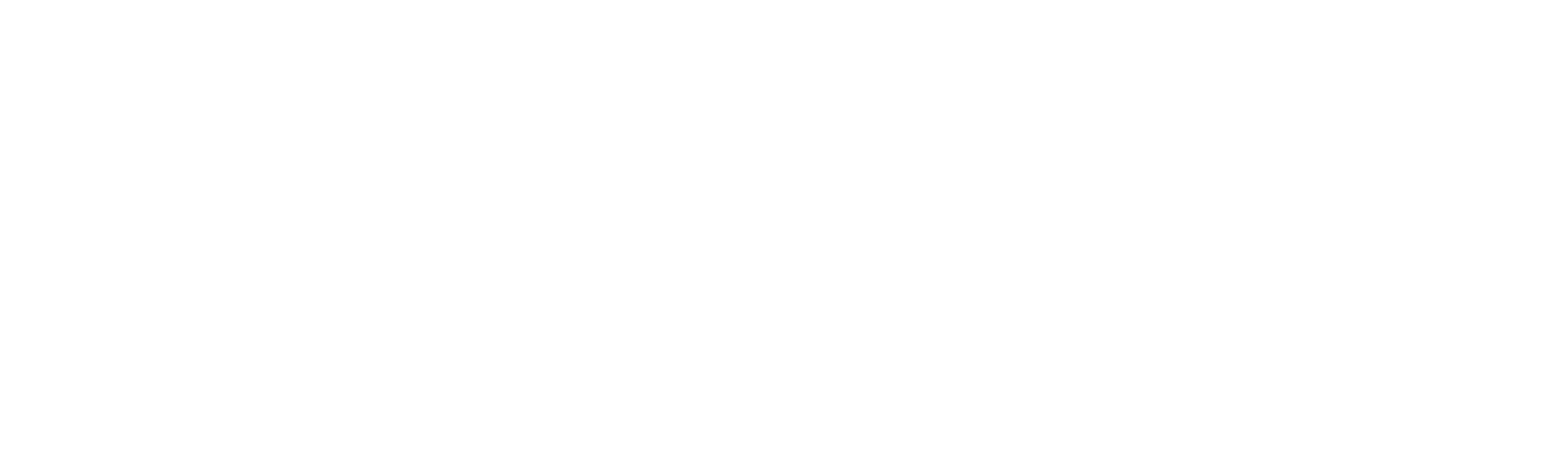 logo efficiens group