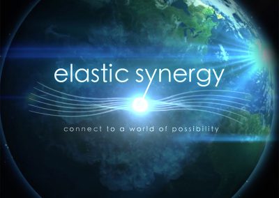 Elastic Synergy